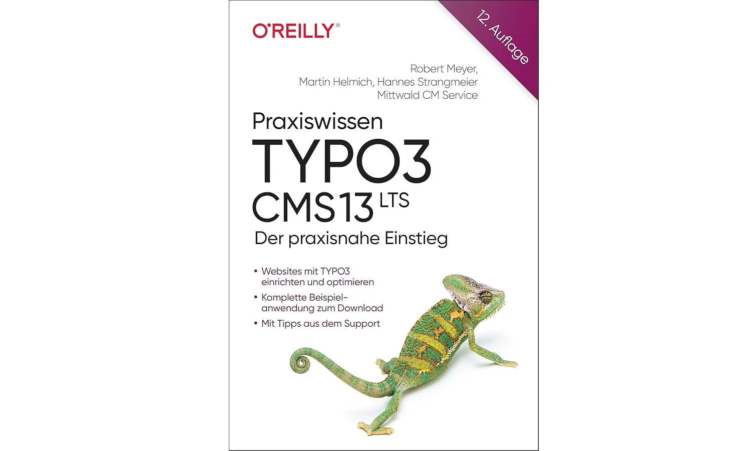 Praxiswissen TYPO3 CMS 13 LTS: Der praxisnahe Einstieg. Das beste TYPO3-Buch auf dem Markt