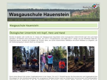 Wasgauschule Hauenstein - Realschule plus